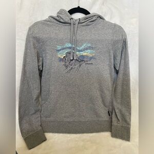 Patagonia Gray Hoodie with Mountain Graphic